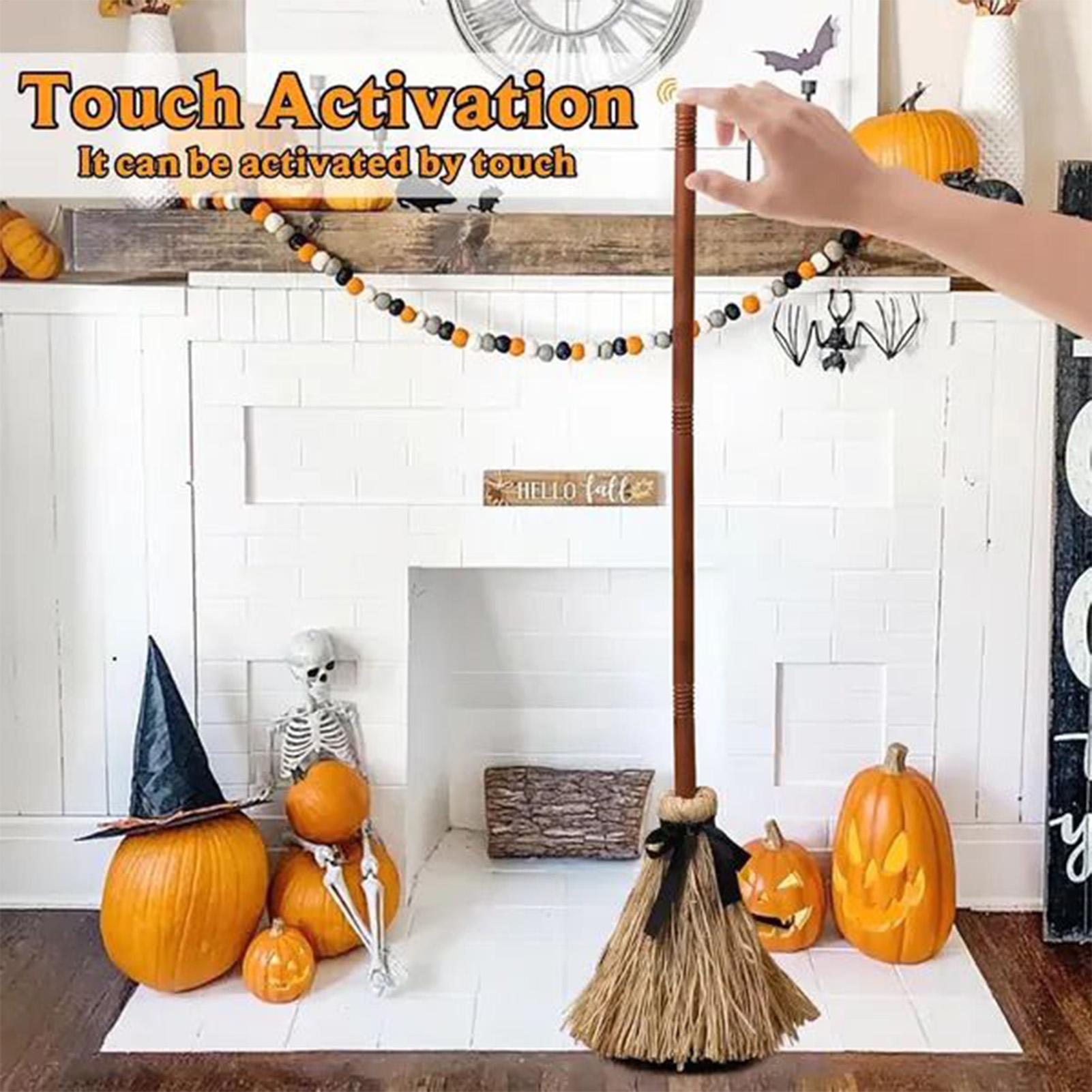 Witch Broom Battery Powered Fu - Outdoor Power Broom ulasan dan harga