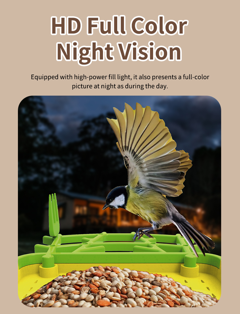 STLFSmart Bird Feeder HD Camer - Power Outdoor ulasan dan harga